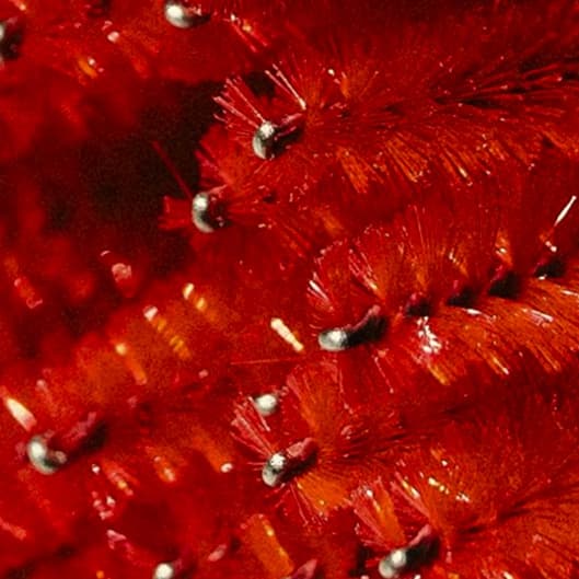 BLACK FRIDAY BROW SCULPT at GlōMEDICS Aesthetics & Skin Rx in Houston, TX